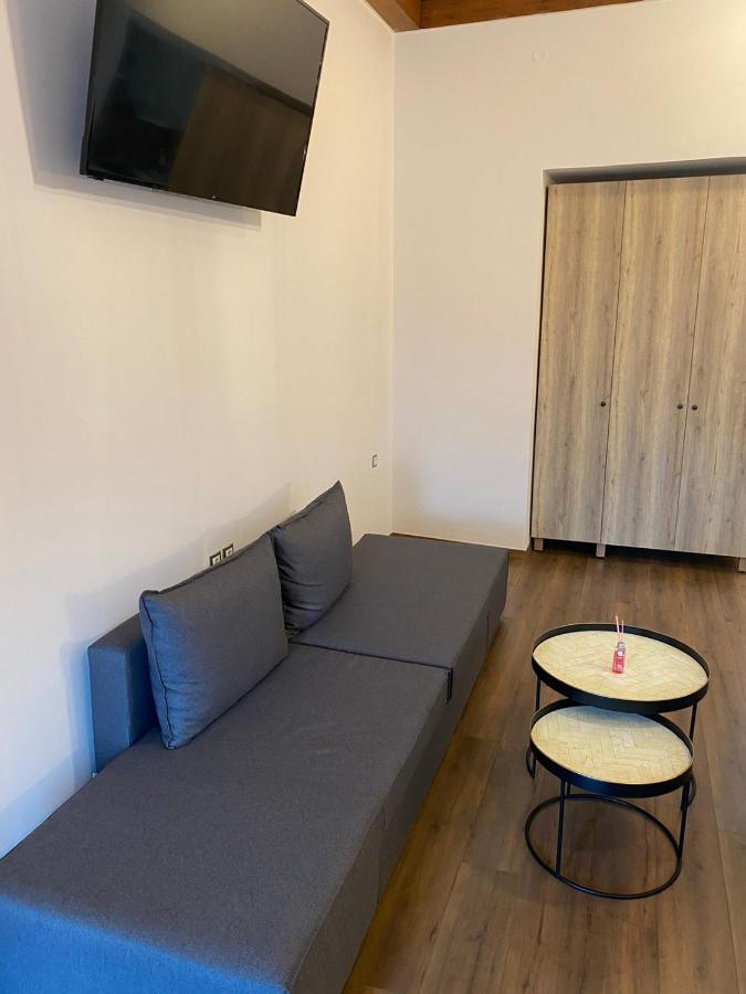 11 Luxury Apartments Metsovo Exterior foto