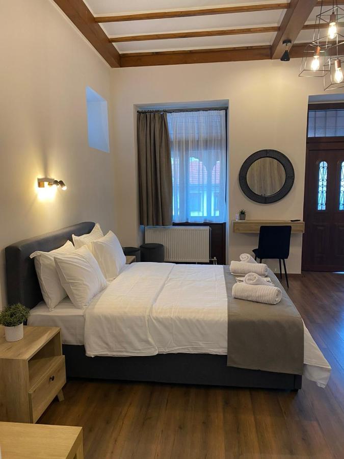 11 Luxury Apartments Metsovo Exterior foto