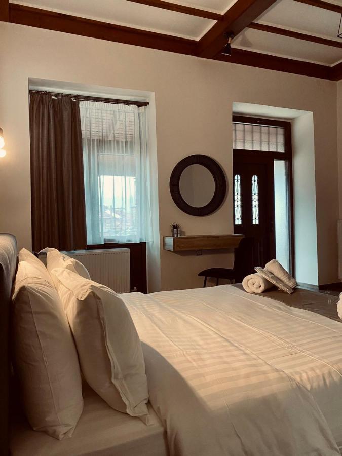 11 Luxury Apartments Metsovo Exterior foto