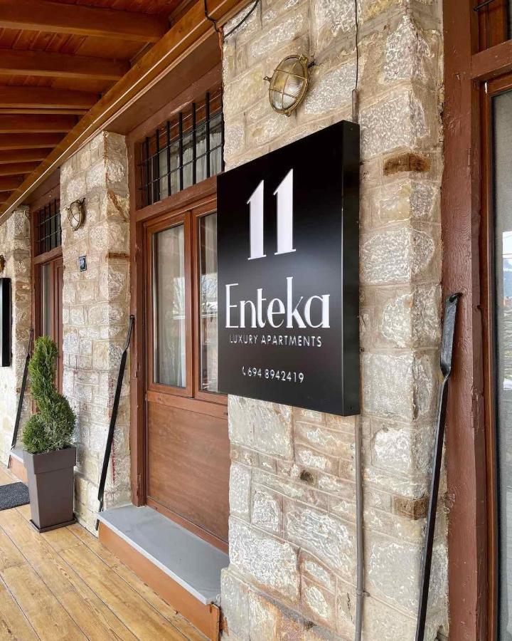 11 Luxury Apartments Metsovo Exterior foto