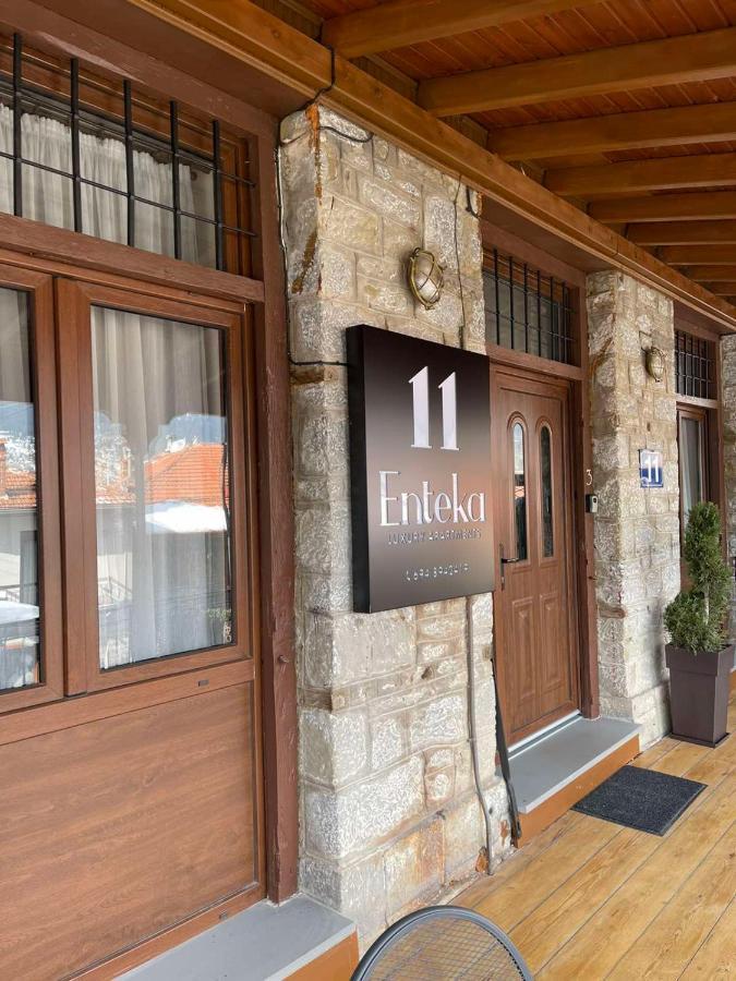 11 Luxury Apartments Metsovo Exterior foto