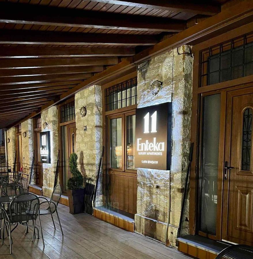 11 Luxury Apartments Metsovo Exterior foto